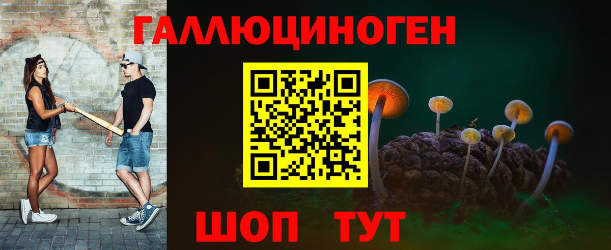 Керчь  Псилоцибиновые грибы Cubensis  Вход с VPN 